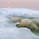 Imagen: Paul Souders / National Geographic